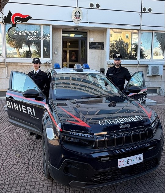 Furto “da scaffale” finisce in rapina: tenta la fuga, aggredisce i Carabinieri e finisce ai domiciliari a Modena