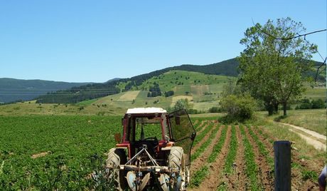 Regione Calabria: “speso il 100%” dei fondi PSR della programmazione agricola