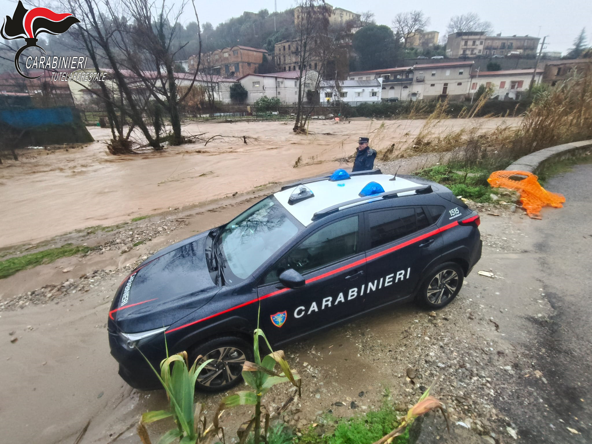 Fiumi in piena e territori feriti: l’intervento dei Carabinieri Forestali in provincia di Cosenza