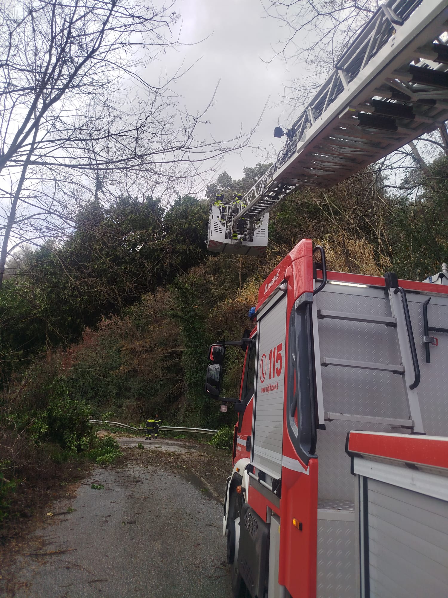 Maltempo nel Vibonese: oltre 40 interventi dei Vigili del Fuoco tra allagamenti, vento e alberi abbattuti