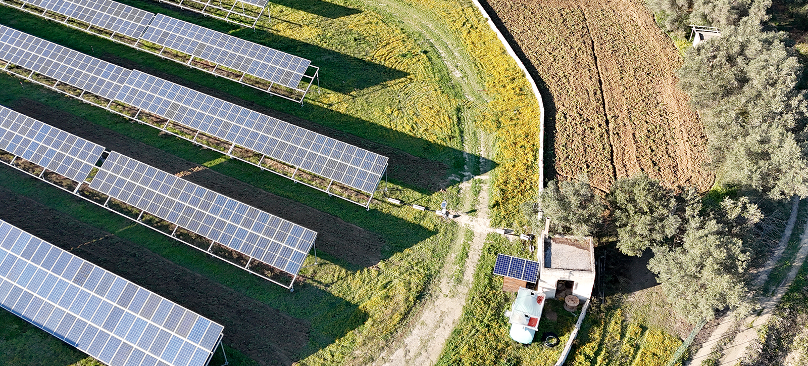 Nuova alleanza tecnologica nel solare: accordo internazionale per sviluppare il fotovoltaico