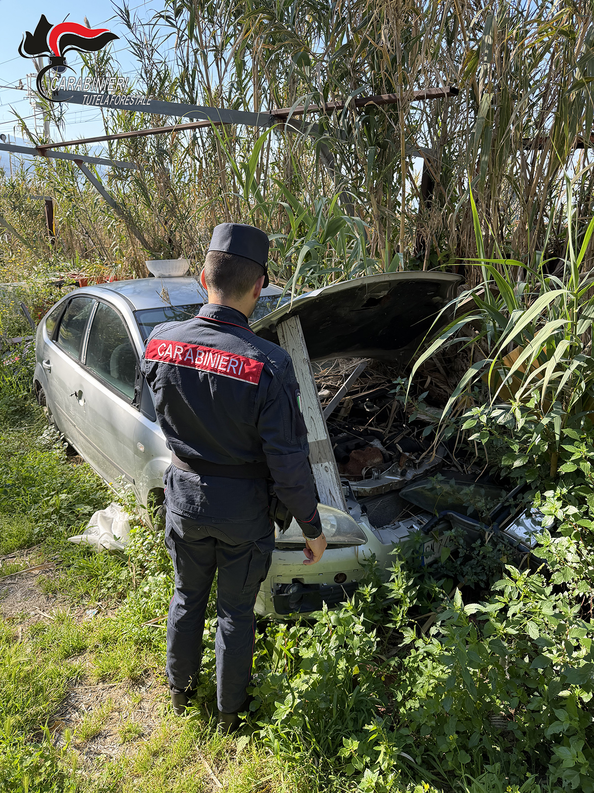 Discarica nascosta dietro un cancello: blitz dei Carabinieri Forestali nel cosentino