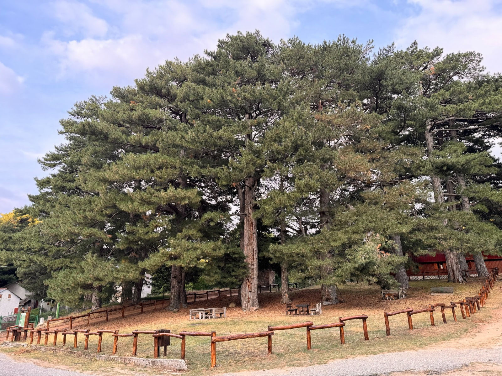 Petilia punta in alto: WiFi gratuito a 1479 metri per rilanciare turismo e montagna