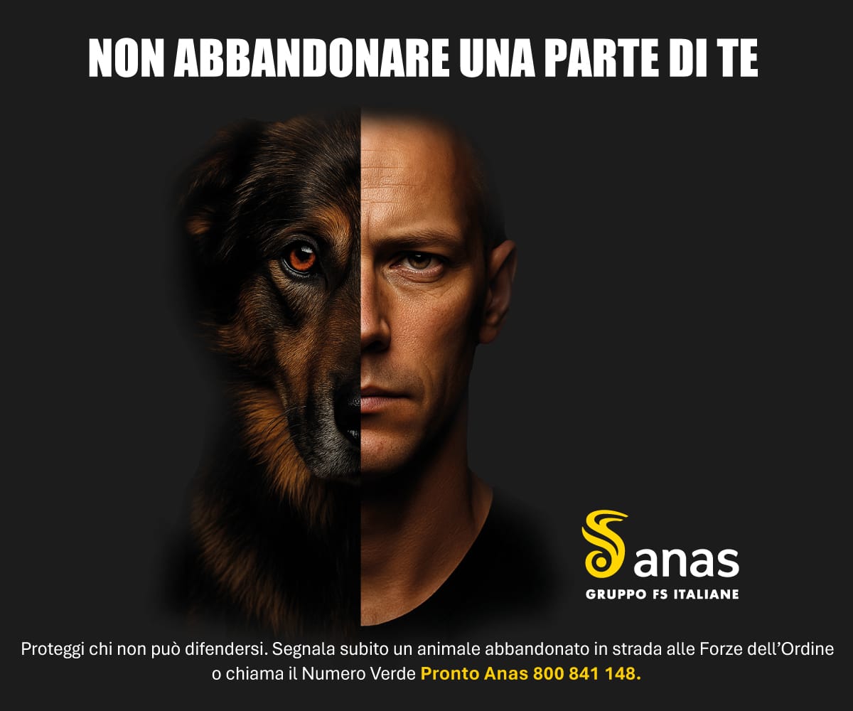 “Non abbandonare una parte di te”: ANAS premiata al Campidoglio per la campagna che unisce sicurezza stradale e tutela degli animali