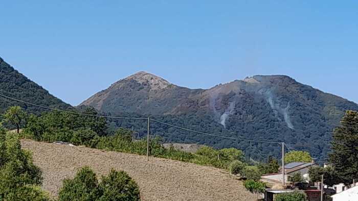 Incendio nel versante cosentino del Parco del Pollino: da dieci giorni brucia il sottobosco