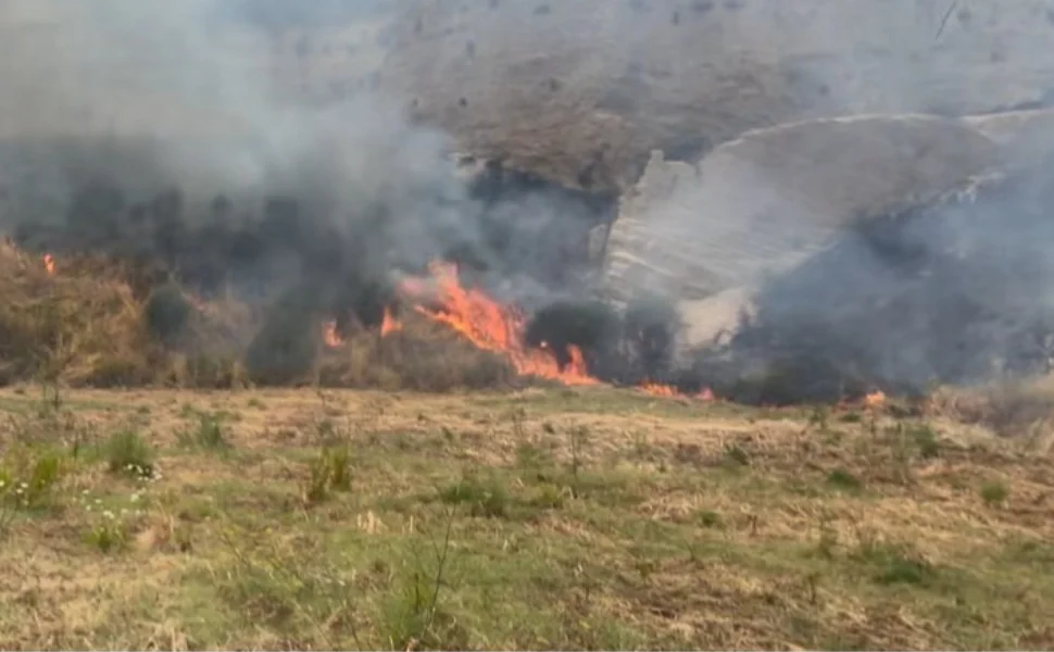 Bisignano, vasto incendio vicino al nuovo cimitero: paura tra i residenti