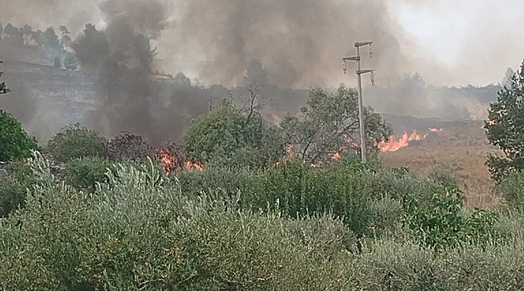 Morano Calabro, sorpreso mentre appicca il fuoco alla vegetazione: arrestato un 56enne