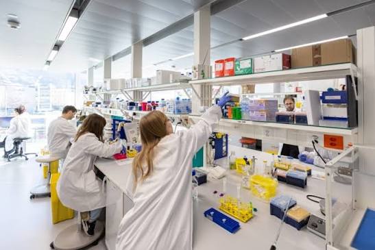 Retina, nuove frontiere della ricerca: dal TIGEM una mappa di RNA legati alle malattie ereditarie