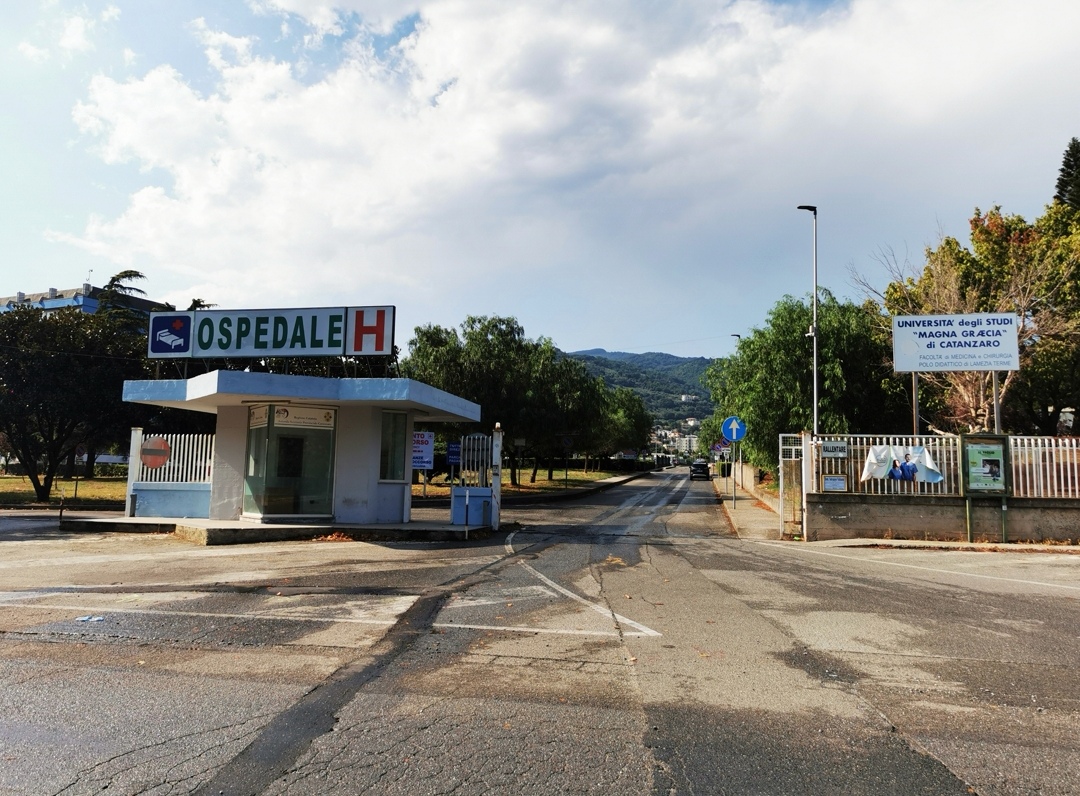 Polo universitario di Lamezia, Natrella (FI): «L’UMG riapra le iscrizioni a Infermieristica»