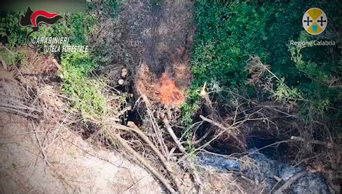 Mileto, ripreso dal drone mentre appicca un incendio: arrestato un 49enne