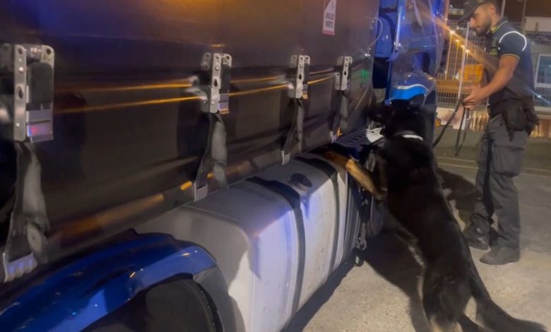 Civitavecchia, oltre 85 chili di droga nascosti nel doppiofondo di un tir: arrestato camionista