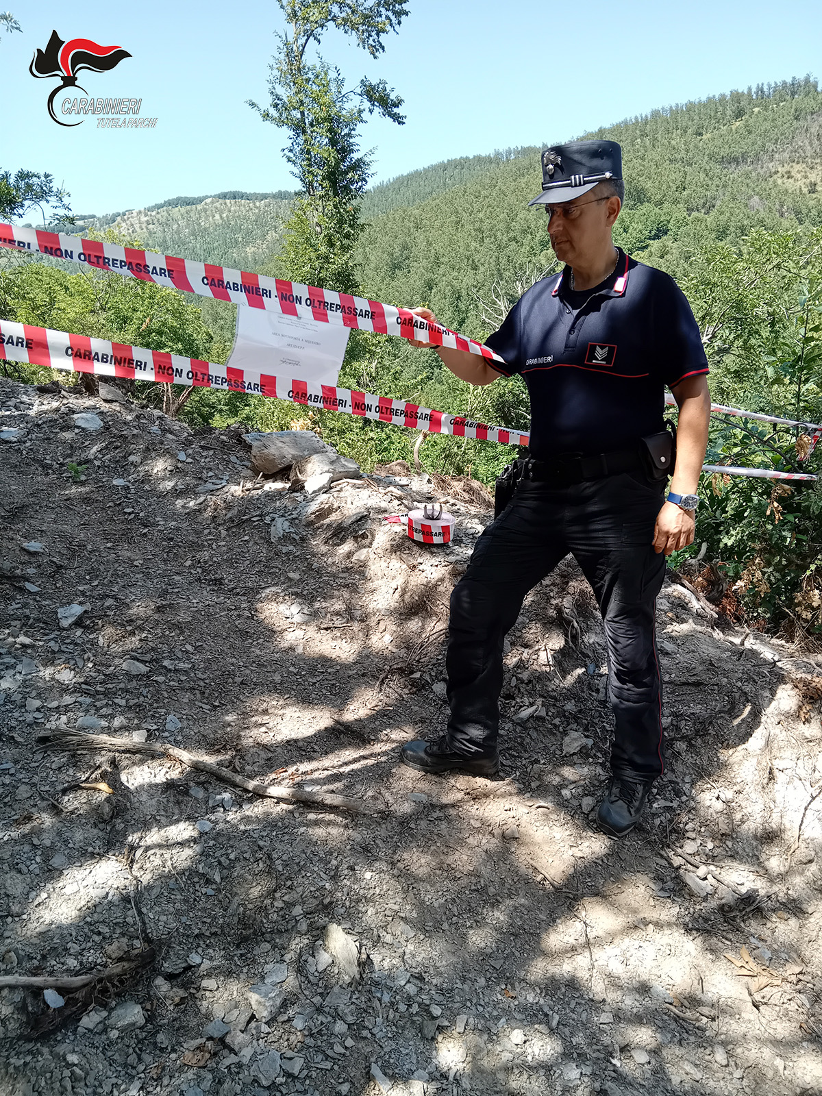 Acquaformosa, taglio abusivo nel Parco del Pollino: denunciato il titolare di una ditta boschiva