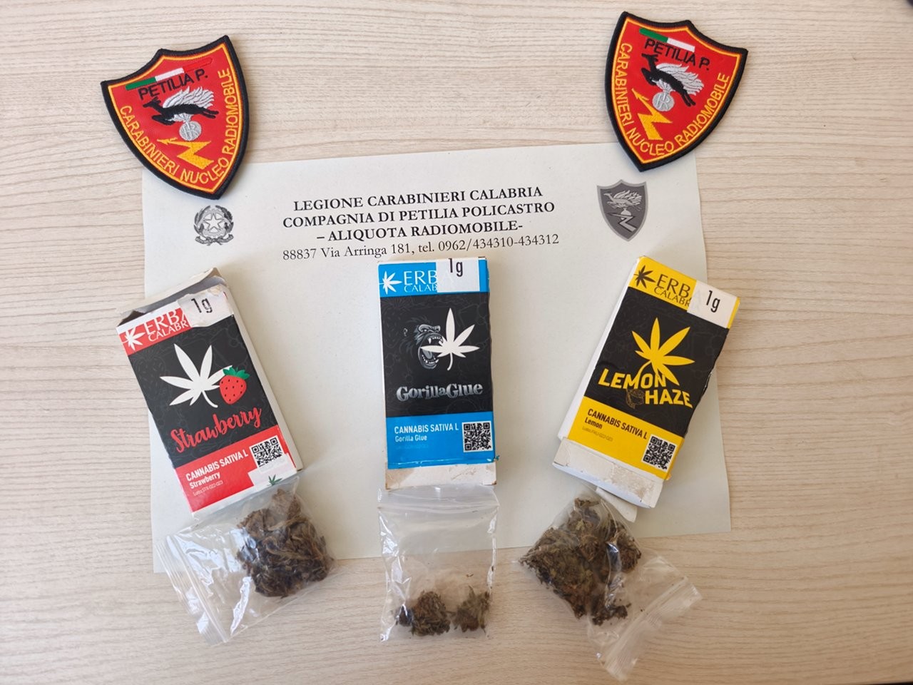 Crotone, scoperta una coltivazione domestica: due piante di canapa sequestrate