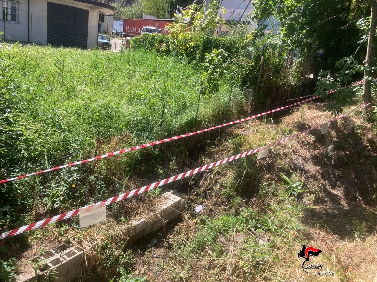 Cotronei, sversamento di oli esausti e liquidi pericolosi: denunciata una 54enne
