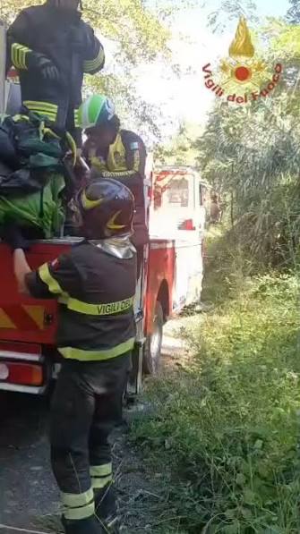 Fiumefreddo Bruzio, parapendista resta incastrato su un albero: salvato dai Vigili del Fuoco